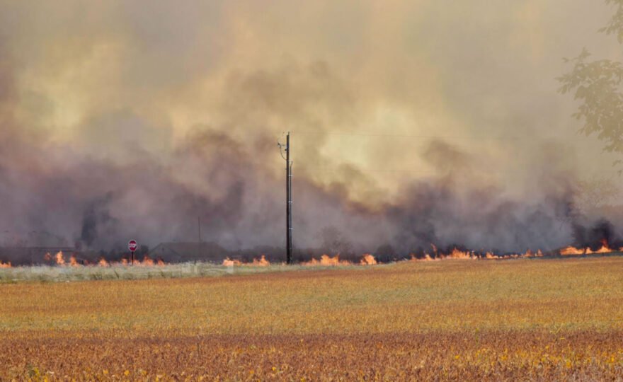 Superimposition: Wildfires in My Landscape, Birdseye Fire
