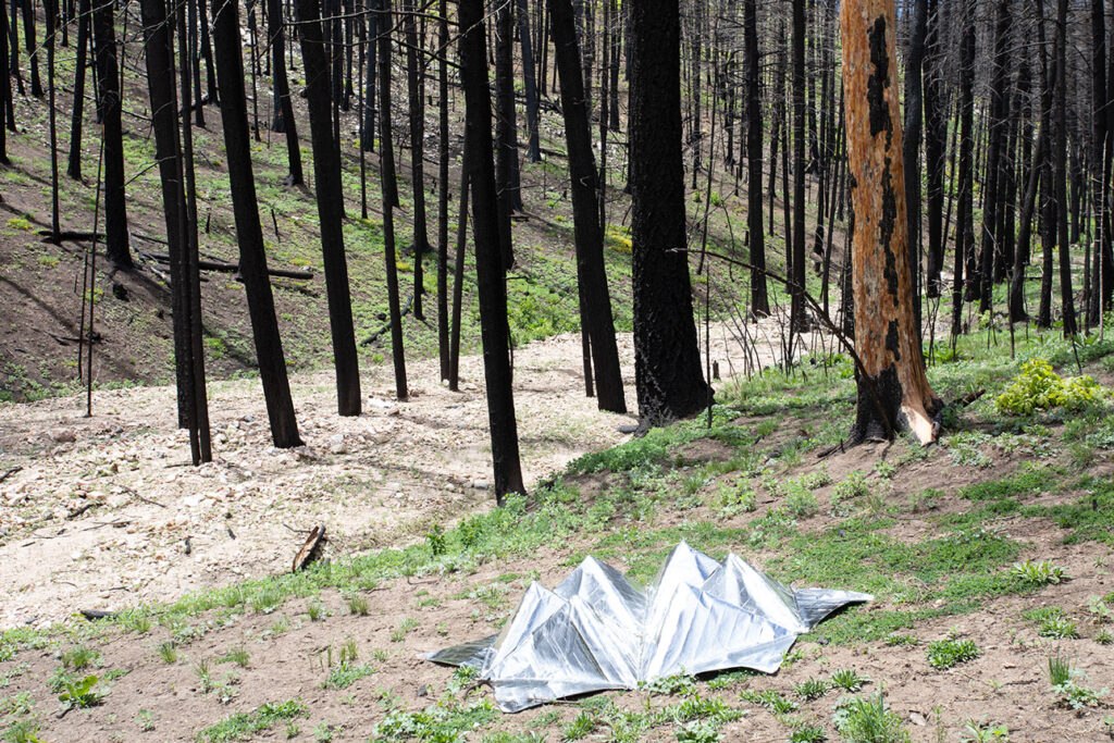 survival architecture, site-specific installation of wildfire shelters for small animals