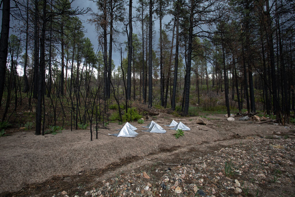 survival architecture, site-specific installation of wildfire shelters for small animals