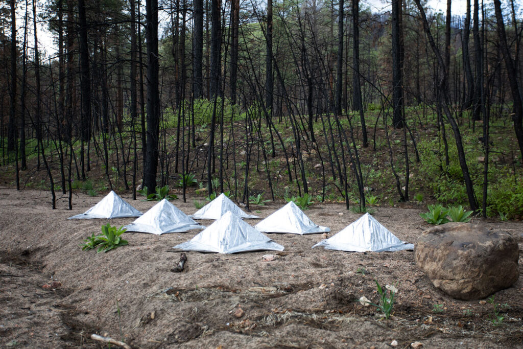 site-specific installation of wildfire shelters for small animals
